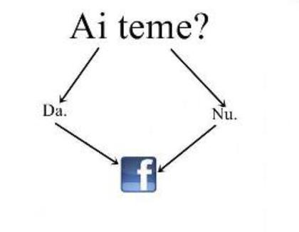 424735_251189501627895_2000396631_n