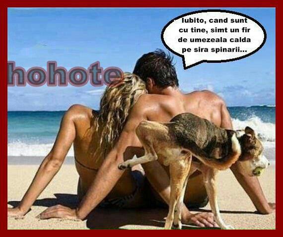 268409_424192480984472_1508623992_n