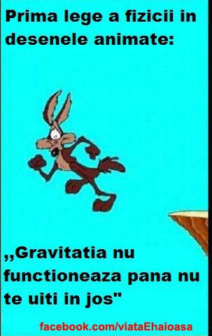 293527_426089464128107_440097669_n