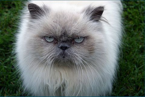 1_original - atractii irezistibile