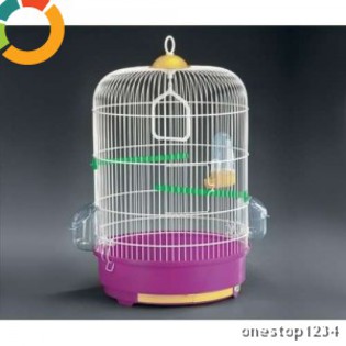 8a087bacc304f9ade1a86c57dcb94dd7-6063885-300_300 - atractii irezistibile