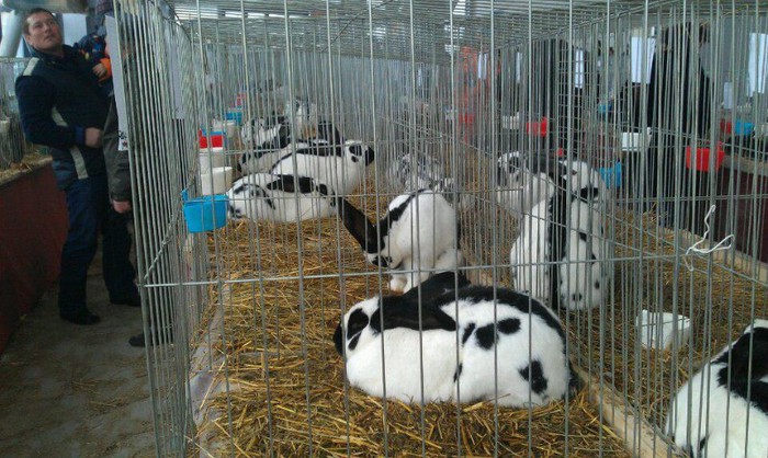 566335_450039148384771_1422009620_n