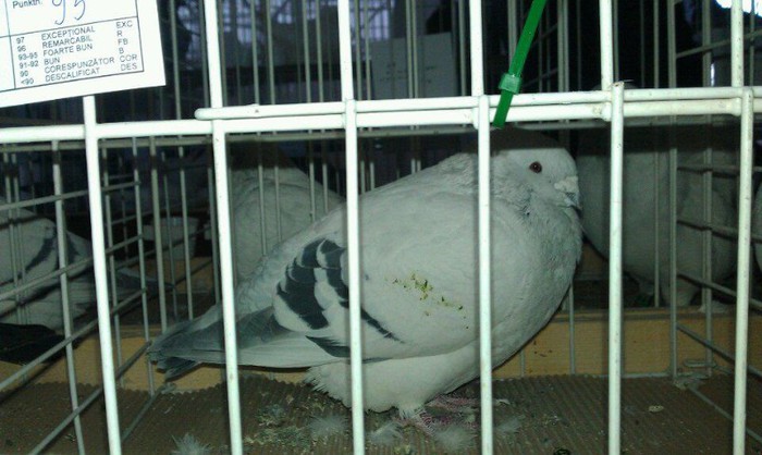 702546_450036681718351_1285263662_n