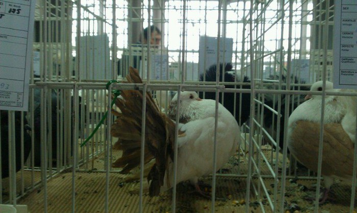 702671_450034865051866_1444224090_n