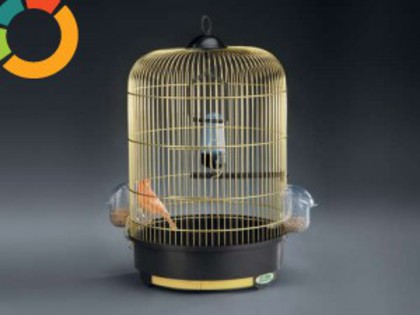 072c9f51f9e88dc1e84c82b8f69fecd5-6063885-300_300 - atractii irezistibile