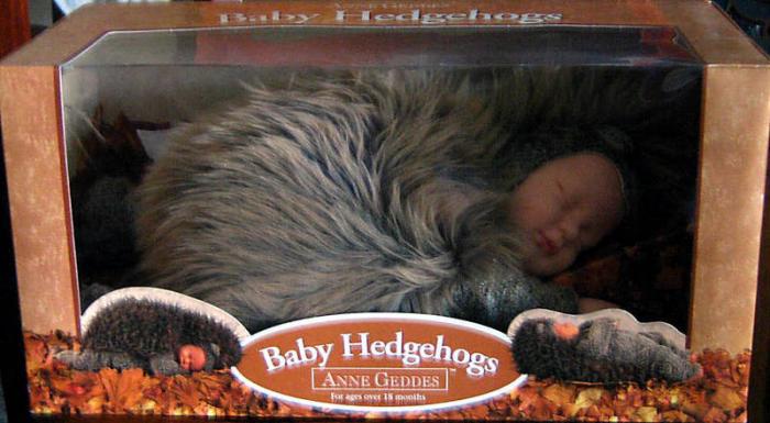 anne-geddes-baby-hedgehogs-doll-18_5151247 - atractii irezistibile