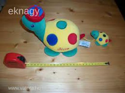 imagesCAVBF1I6