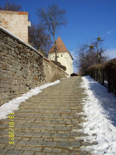 100_4254