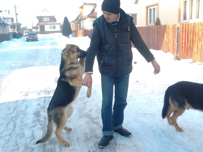 2013-01-13 14.59.10 - paloma blanka