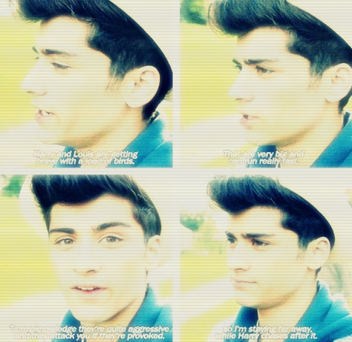 ». xD =)). [ mento. ; oke. ;o3. [ purieeh. ; hei. . VINOVATO ;o3. [ KATTIEH. xD ;
