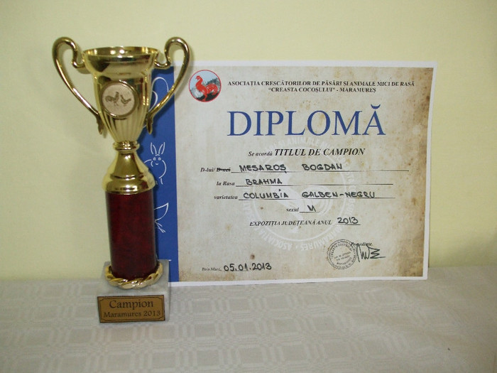 DSCF5423 - Cupe si Diplome MM 2013