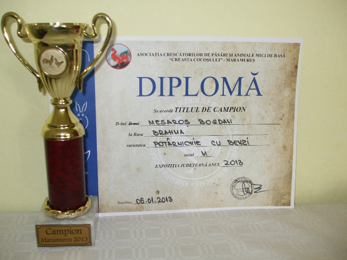 DSCF5424 - Cupe si Diplome MM 2013