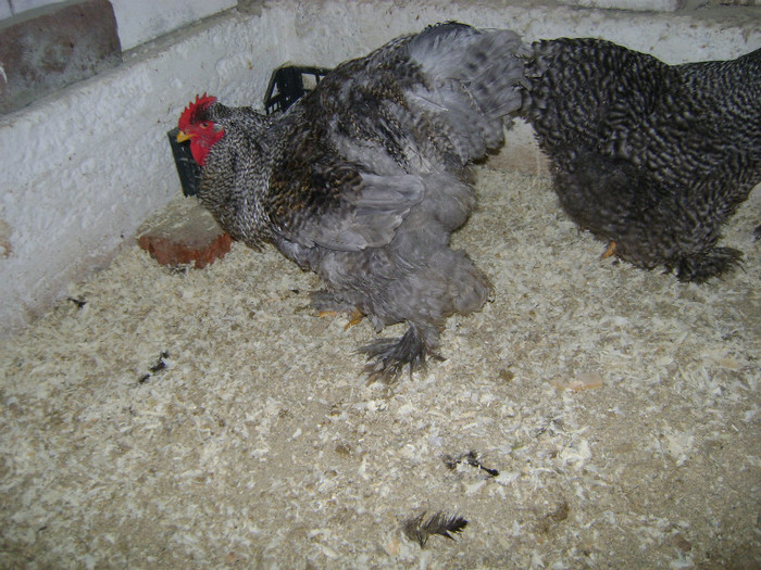 DSC02099 - 30-MATCA 2013