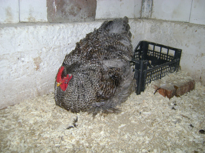 DSC02102 - 30-MATCA 2013