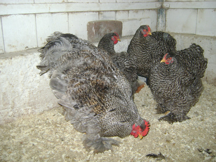 DSC02112 - 30-MATCA 2013