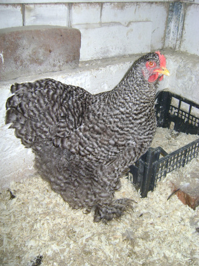 DSC020921 - 30-MATCA 2013