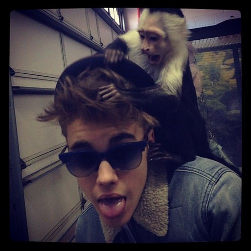 ». ERAI. ANGAJATUL. MEU ;| ?. [ alex. ; oke. ;-? si unde. e primul. concert ;;) ?. [ managerul. ;