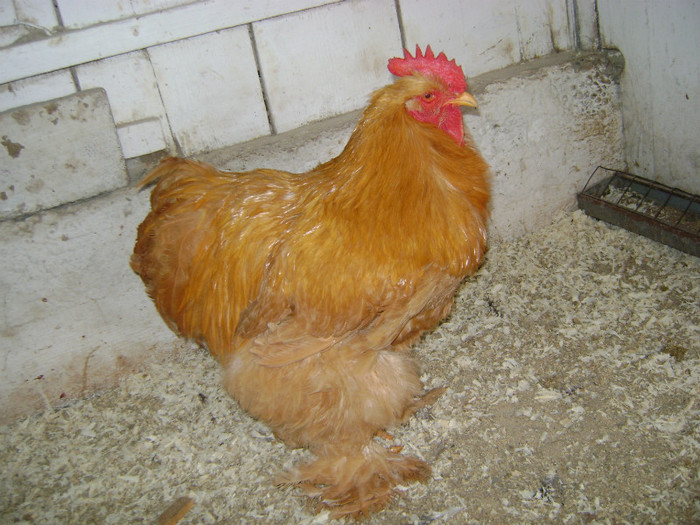 DSC02129 - 30-MATCA 2013