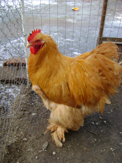 DSC020101 - 30-MATCA 2013