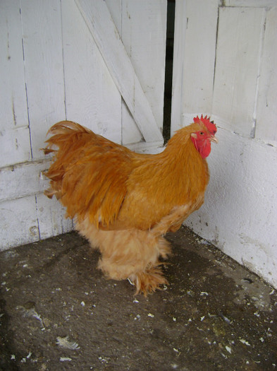 DSC020121 - 30-MATCA 2013