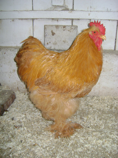 DSC021211 - 30-MATCA 2013