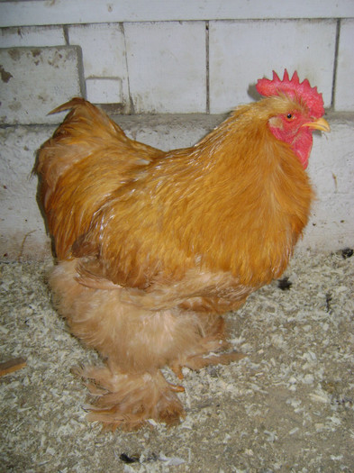 DSC021261 - 30-MATCA 2013