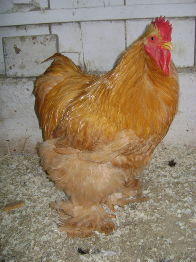 DSC021281 - 30-MATCA 2013