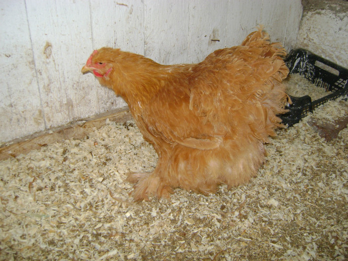 DSC02021 - 30-MATCA 2013