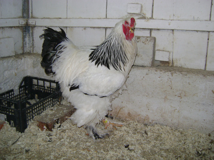 DSC02212 - 30-MATCA 2013