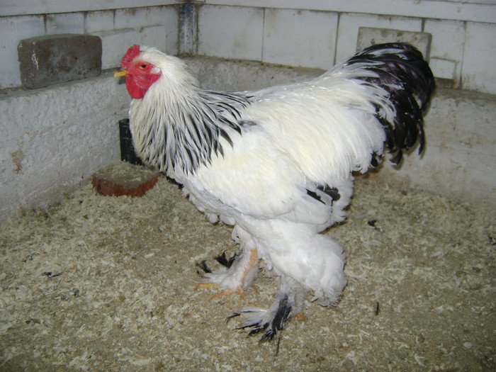 DSC02231 - 30-MATCA 2013