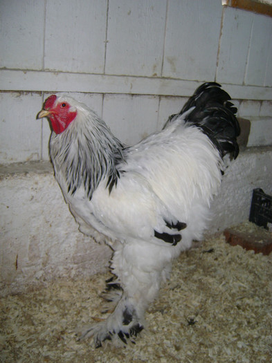 DSC021771 - 30-MATCA 2013