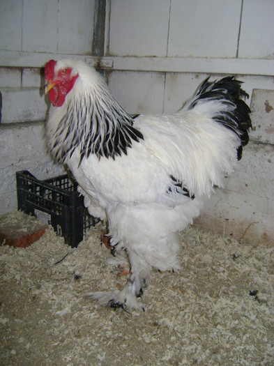 DSC022101 - 30-MATCA 2013