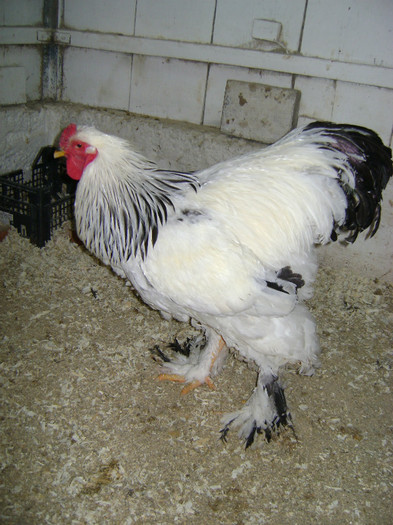 DSC022301 - 30-MATCA 2013