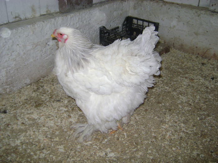 DSC02198 - 30-MATCA 2013