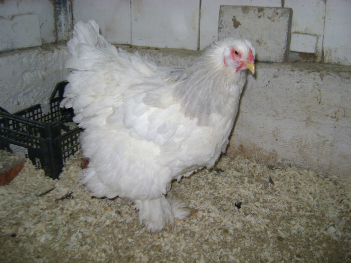 DSC02200 - 30-MATCA 2013