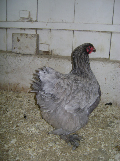 DSC021701 - 30-MATCA 2013