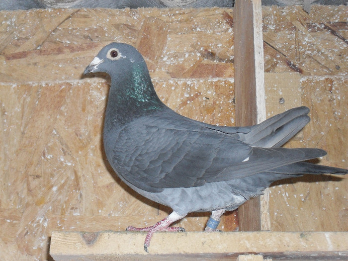 SDC14655