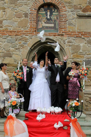 228849_474085772623974_1305254415_n