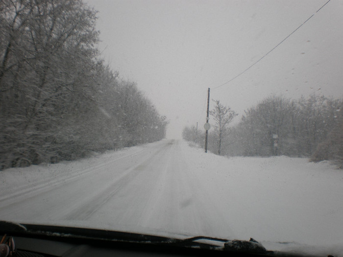 P1121362 - Poze Hobaia Giurgiu