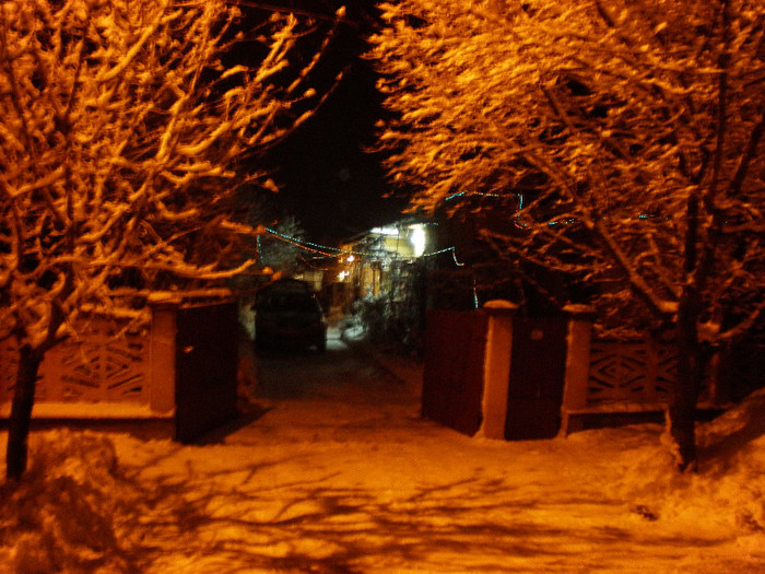 P1121366 - Poze Hobaia Giurgiu