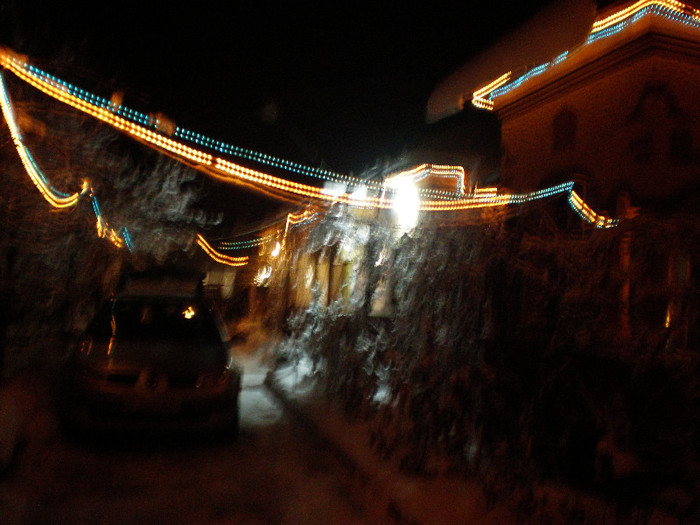 P1121372 - Poze Hobaia Giurgiu