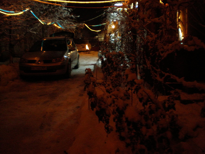 P1121379 - Poze Hobaia Giurgiu