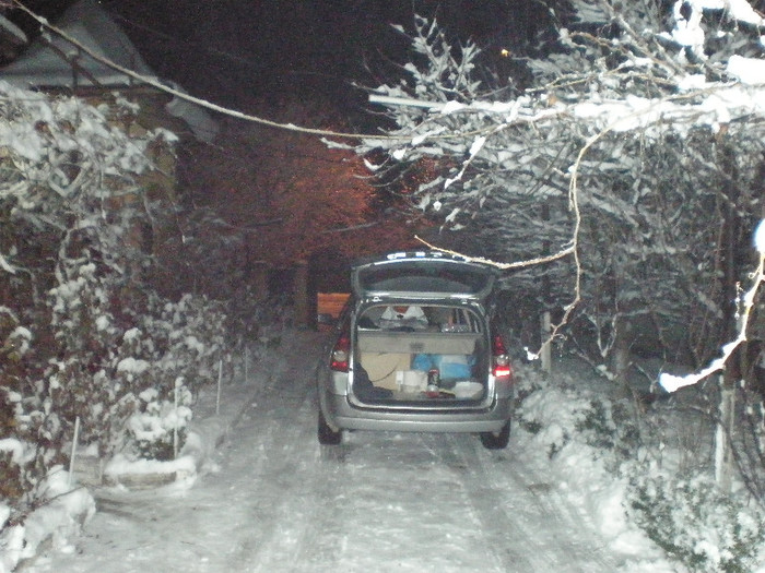 P1121382 - Poze Hobaia Giurgiu