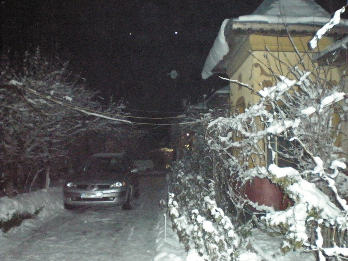 P1121444 - Poze Hobaia Giurgiu