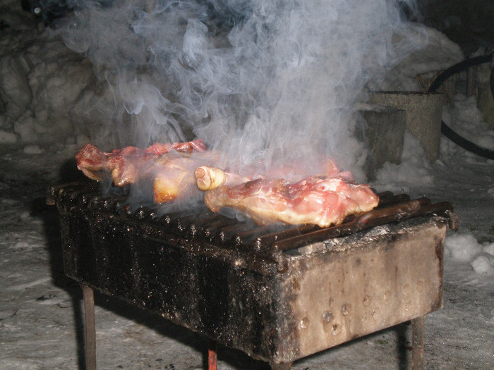 P1121397 - Poze Hobaia Giurgiu