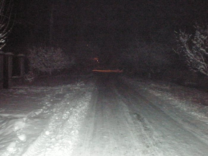 P1121440 - Poze Hobaia Giurgiu