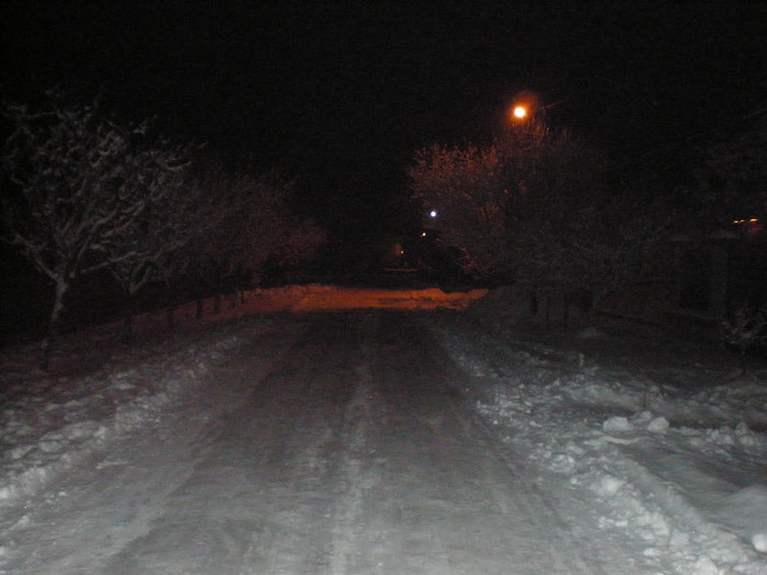 P1121434 - Poze Hobaia Giurgiu