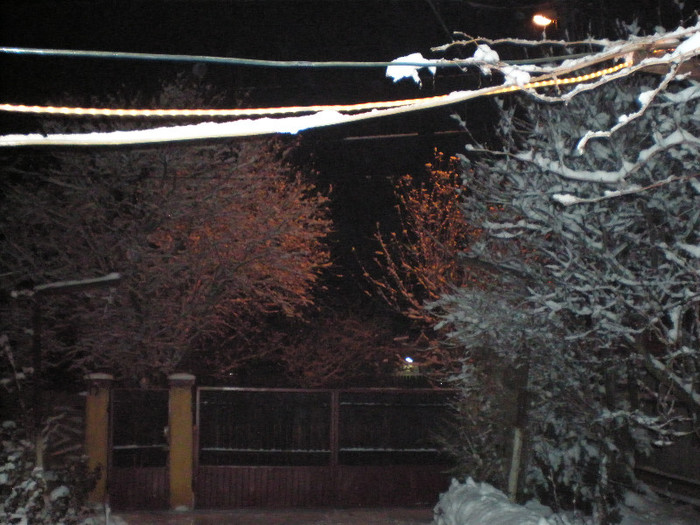 P1121447 - Poze Hobaia Giurgiu