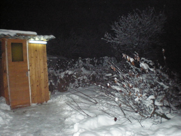 P1121425 - Poze Hobaia Giurgiu