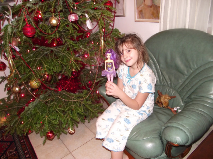 POZE DECEMBRIE 2012 682; ILUZIA
